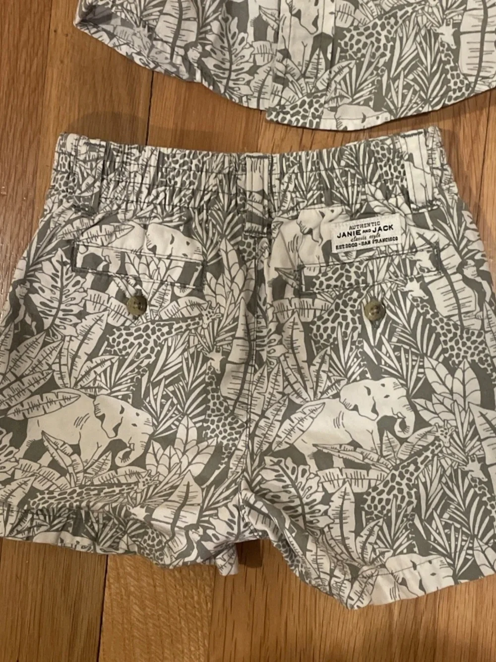 Janie And Jack 6-12mo Safari Two Piece Set